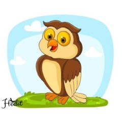 Owl iron-on sticker