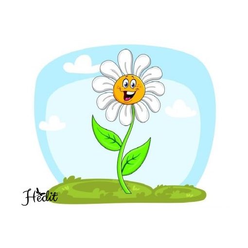 Daisy iron-on sticker
