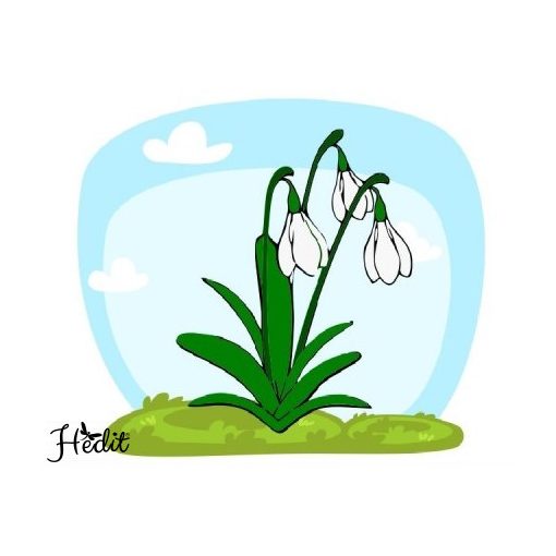 Snowdrops iron-on sticker