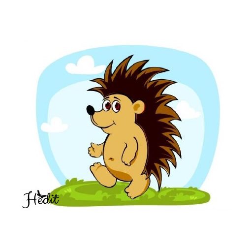 Hedgehog iron-on sticker